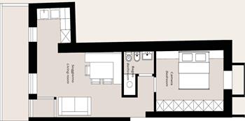 piantina-stella-alpina