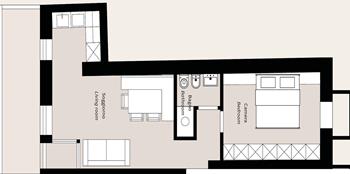 piantina-stella-alpina