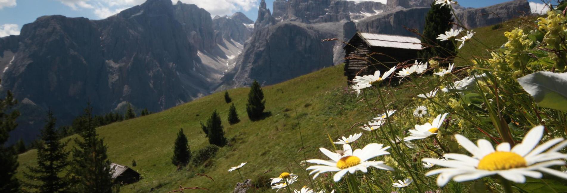 Spring in Alta Badia