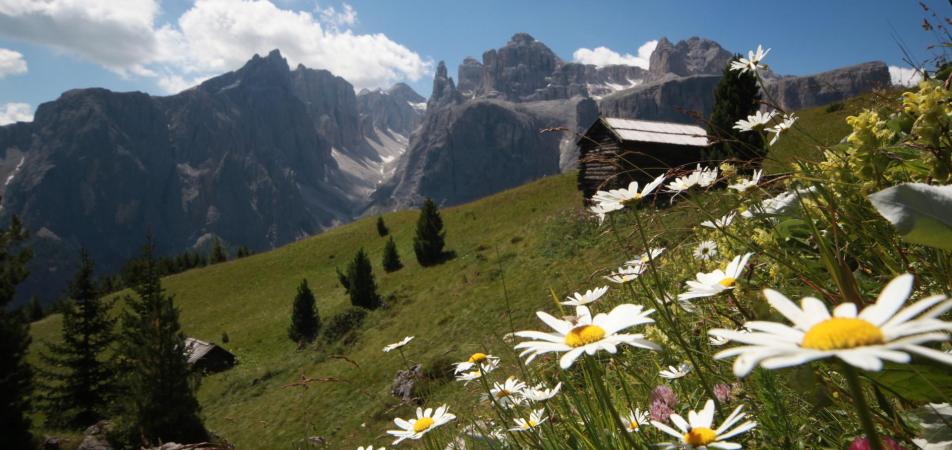 Frühling in Alta Badia